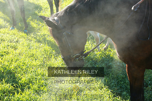 2021-KathleenRileyPhotography-3753