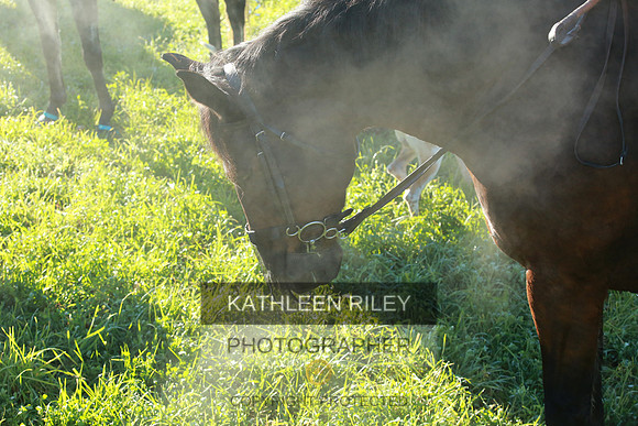2021-KathleenRileyPhotography-3754