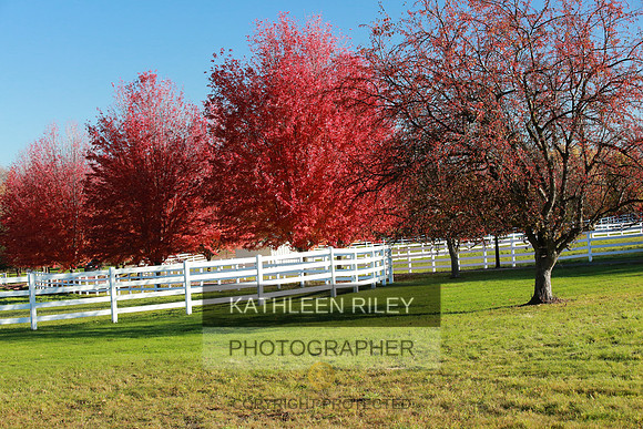2021-KathleenRileyPhotography-3825