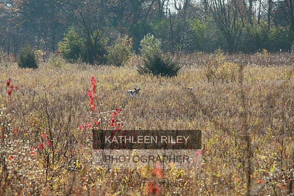 2021-KathleenRileyPhotography-3897
