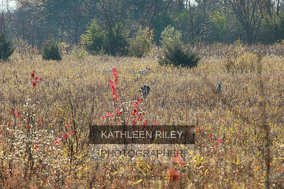 2021-KathleenRileyPhotography-3899