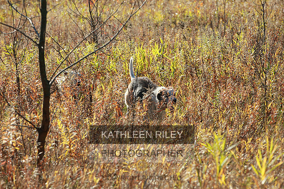 2021-KathleenRileyPhotography-3906