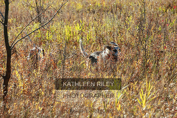 2021-KathleenRileyPhotography-3907