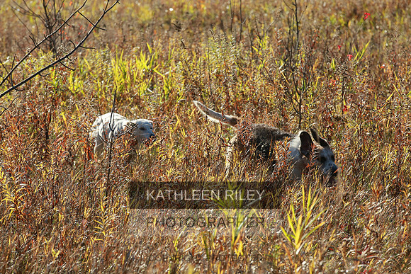 2021-KathleenRileyPhotography-3908