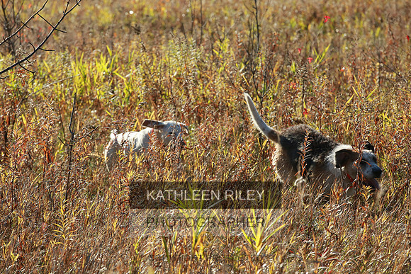2021-KathleenRileyPhotography-3909