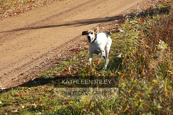 2021-KathleenRileyPhotography-3917