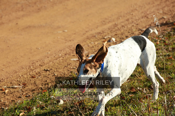 2021-KathleenRileyPhotography-3921
