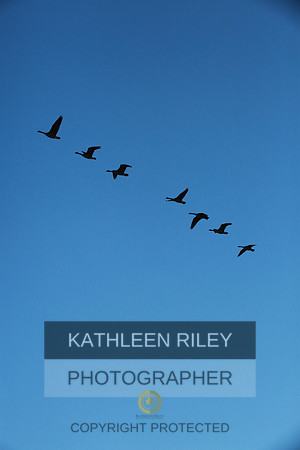 2021-KathleenRileyPhotography-3926