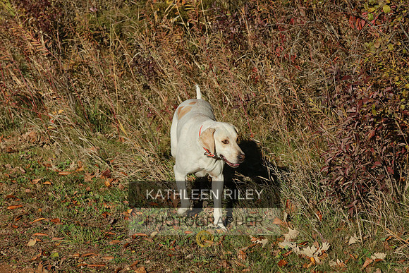 2021-KathleenRileyPhotography-3973