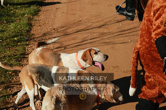 2021-KathleenRileyPhotography-3976