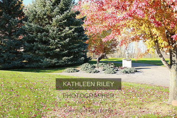 2021-KathleenRileyPhotography-3993