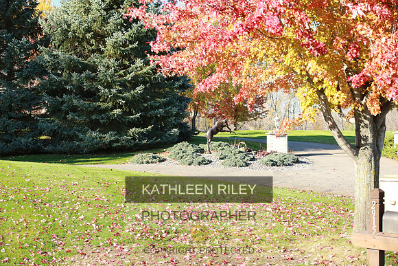 2021-KathleenRileyPhotography-3994