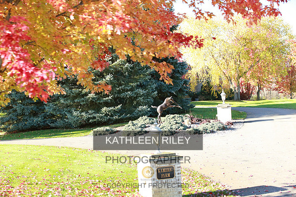 2021-KathleenRileyPhotography-3995