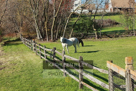 2021-KathleenRileyPhotography-4000