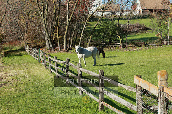 2021-KathleenRileyPhotography-4001