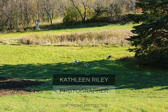 2021-KathleenRileyPhotography-4003