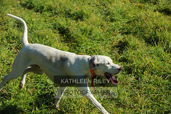 2021-KathleenRileyPhotography-4028