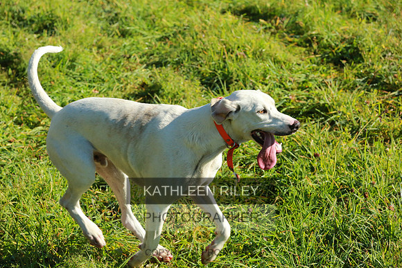 2021-KathleenRileyPhotography-4029
