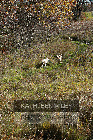 2021-KathleenRileyPhotography-4055