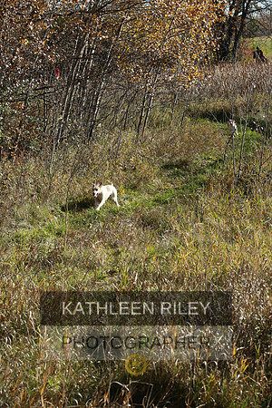2021-KathleenRileyPhotography-4059