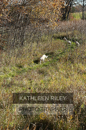2021-KathleenRileyPhotography-4061