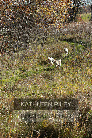 2021-KathleenRileyPhotography-4065