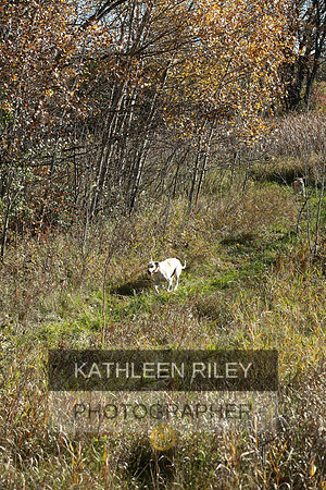 2021-KathleenRileyPhotography-4080