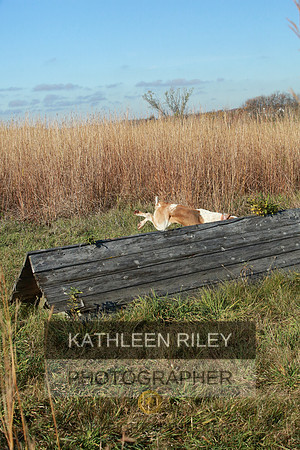 2021-KathleenRileyPhotography-4114