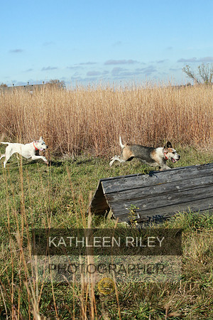 2021-KathleenRileyPhotography-4116