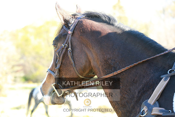 2021-KathleenRileyPhotography-4162
