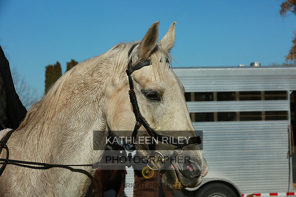 2021-KathleenRileyPhotography-4173