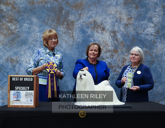 IP2A9241