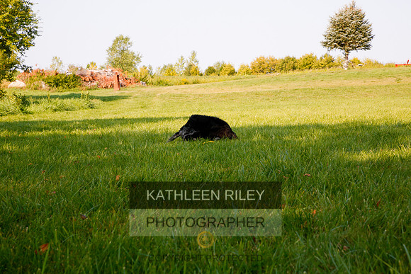 2022-KathleenRileyPhotography-5587