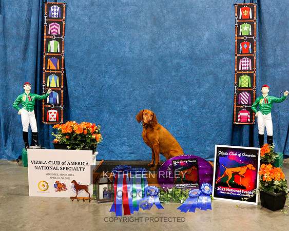 2022-KathleenRileyPhotography-0716