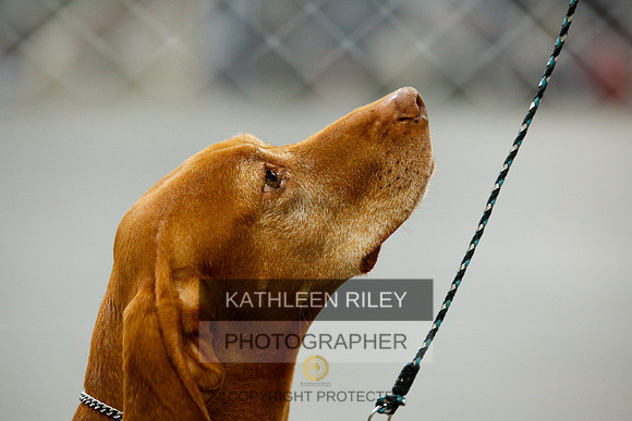 2022-KathleenRileyPhotography-9989