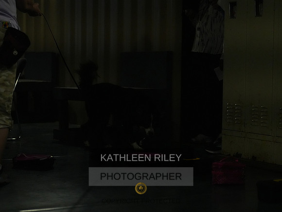 2022-KathleenRileyPhotography079