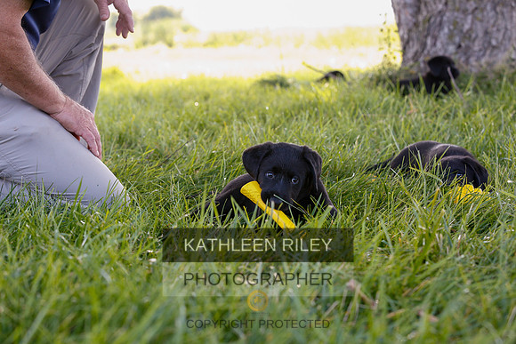 2022-KathleenRileyPhotography-7886