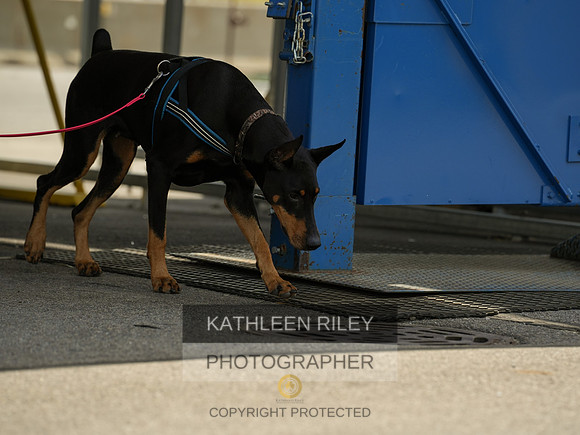 2022-KathleenRileyPhotography-04362