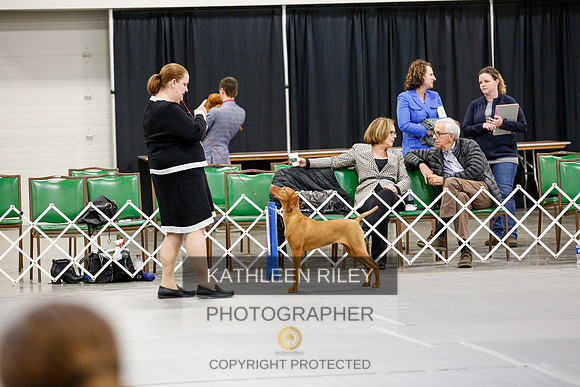 2022-KathleenRileyPhotography-2376