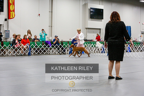 2022-KathleenRileyPhotography-6731