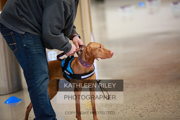 2022-KathleenRileyPhotography-7491