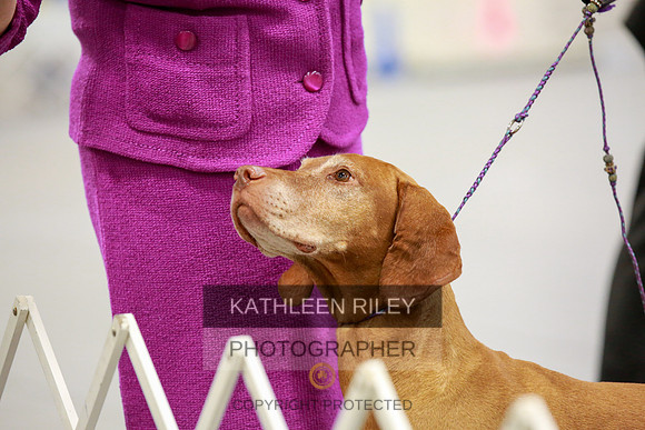 2022-KathleenRileyPhotography-8160