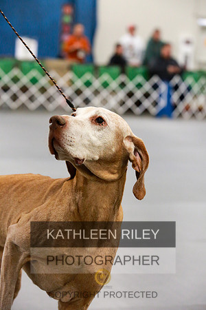 2022-KathleenRileyPhotography-8036