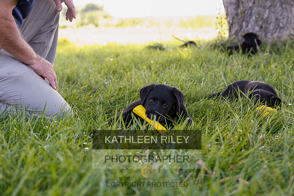 2022-KathleenRileyPhotography-7885