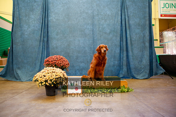 2022-KathleenRileyPhotography-0108