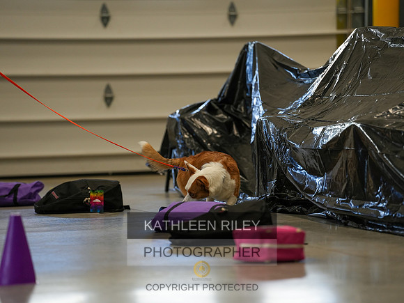 2022-KathleenRileyPhotography-03761