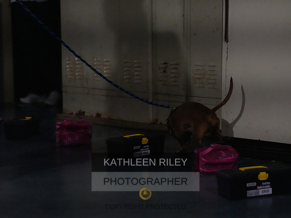 2022-KathleenRileyPhotography174