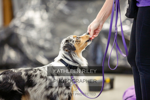 2022-KathleenRileyPhotography-7176