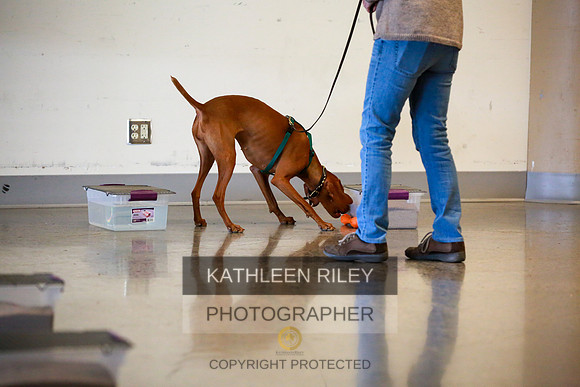 2022-KathleenRileyPhotography-7717