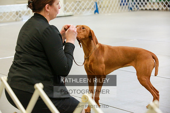 2022-KathleenRileyPhotography-8798
